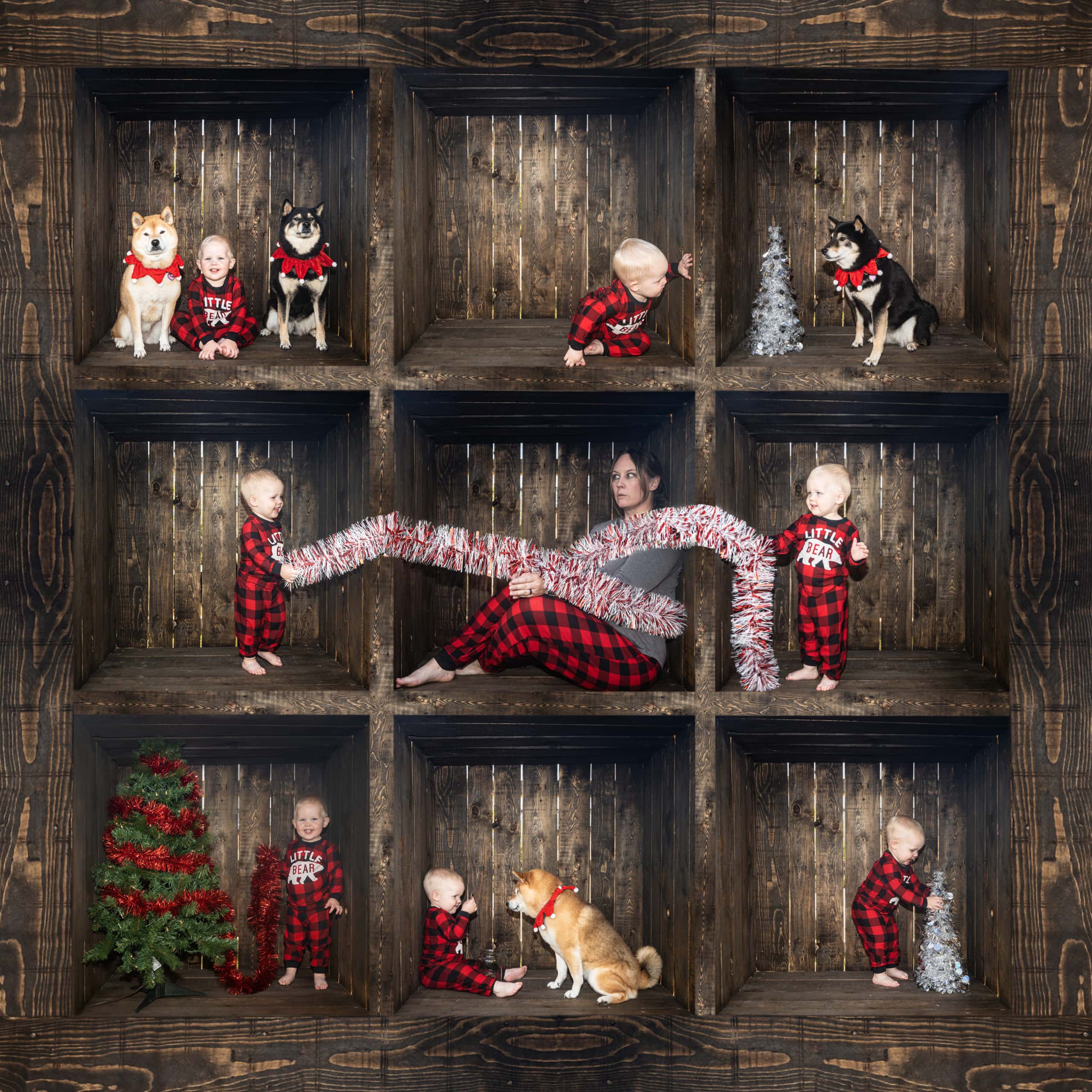 Composite image of nine different photos, each photo is the opening of the same wooden box with different subjects inside each. The subjects are a small child, an adult woman, and two dogs, the nine photos are arranged in a three by three gird giving the illusion of a series of squares stacked together. The subjects are all in a holiday Christmas theme